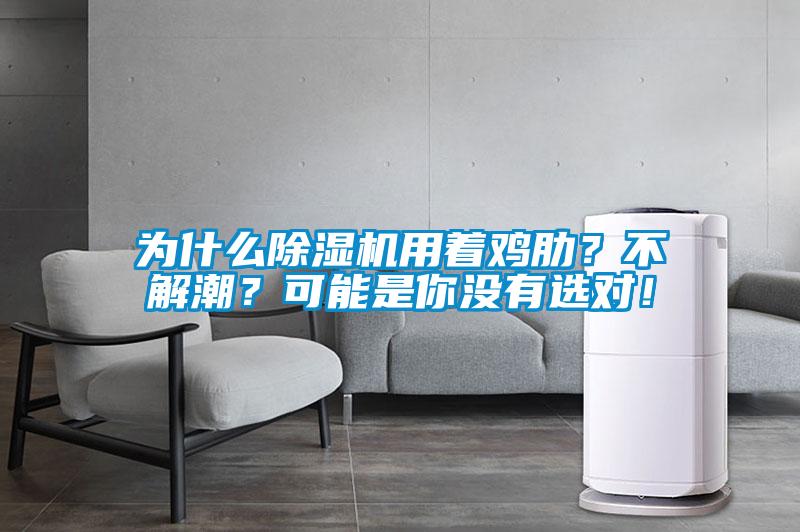 為什么除濕機用著雞肋？不解潮？可能是你沒有選對！