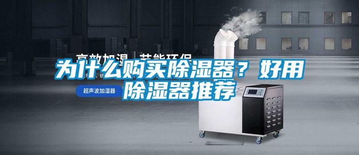 為什么購買除濕器？好用除濕器推薦