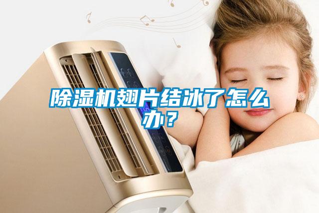 除濕機翅片結冰了怎么辦？