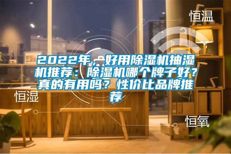 2022年，好用除濕機抽濕機推薦：除濕機哪個牌子好？真的有用嗎？性價比品牌推薦