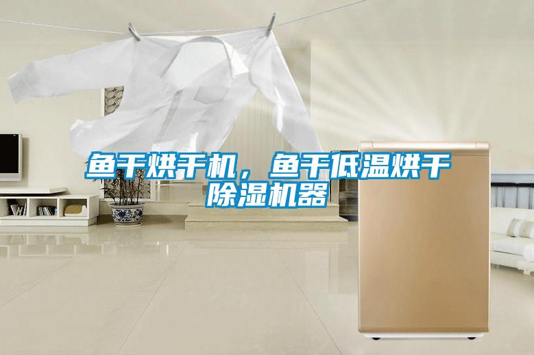 魚干烘干機，魚干低溫烘干除濕機器