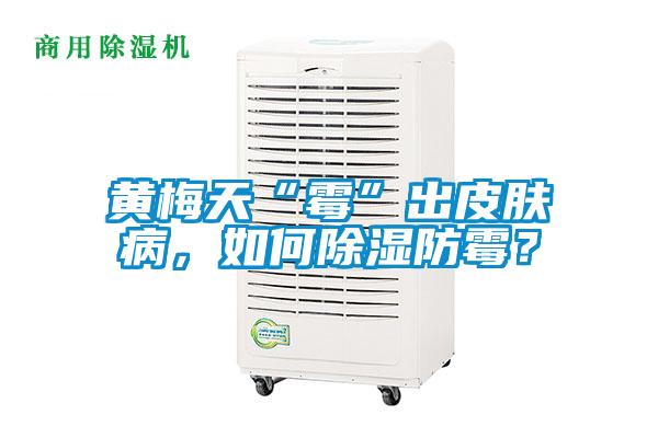 黃梅天“霉”出皮膚病，如何除濕防霉？