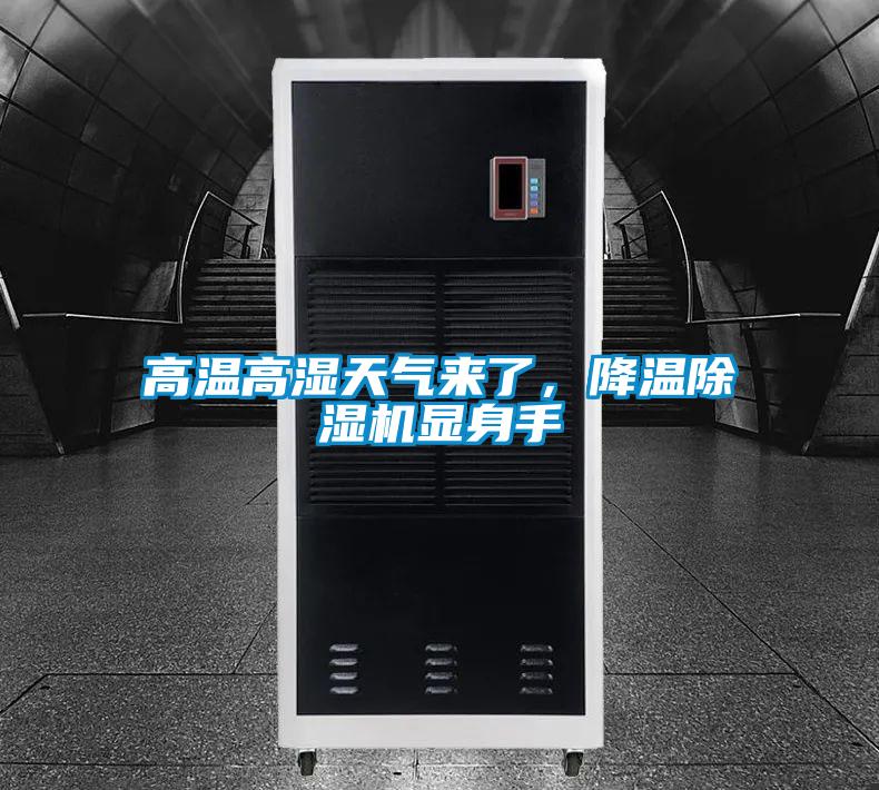 高溫高濕天氣來了，降溫除濕機顯身手