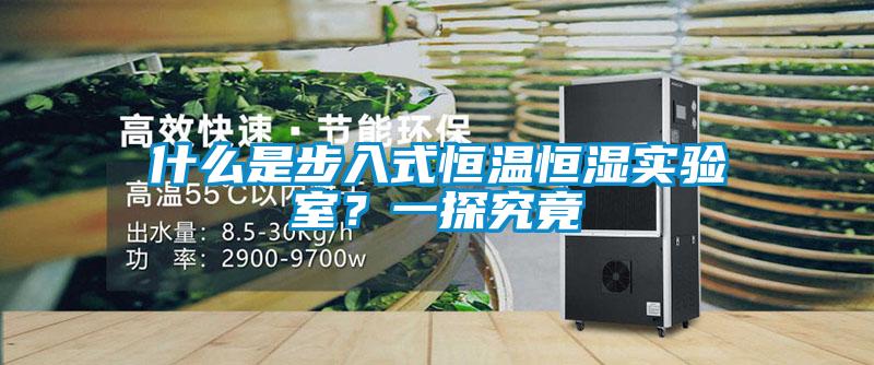 什么是步入式恒溫恒濕實驗室？一探究竟