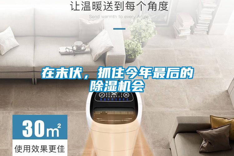 在末伏，抓住今年最后的除濕機會