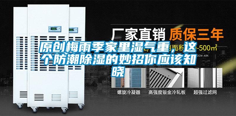 原創梅雨季家里濕氣重，這個防潮除濕的妙招你應該知曉