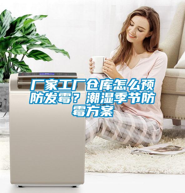 廠家工廠倉庫怎么預防發霉？潮濕季節防霉方案