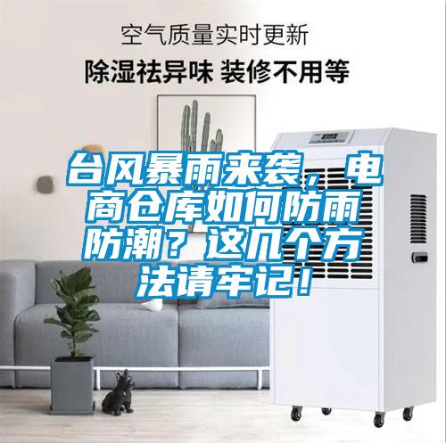 臺風暴雨來襲，電商倉庫如何防雨防潮？這幾個方法請牢記！