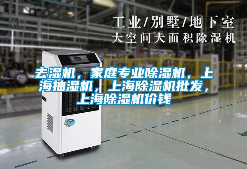 去濕機，家庭專業除濕機，上海抽濕機，上海除濕機批發，上海除濕機價錢