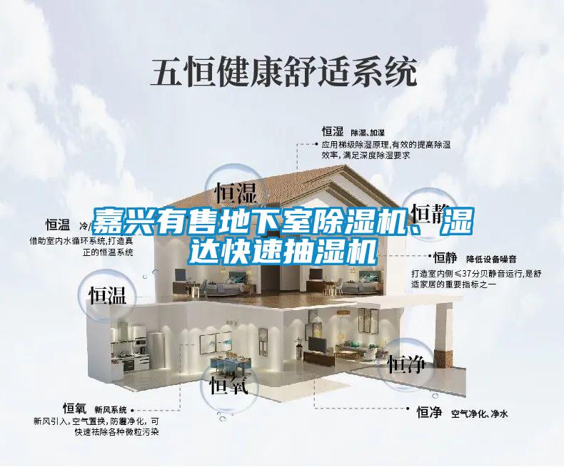 嘉興有售地下室除濕機、濕達快速抽濕機