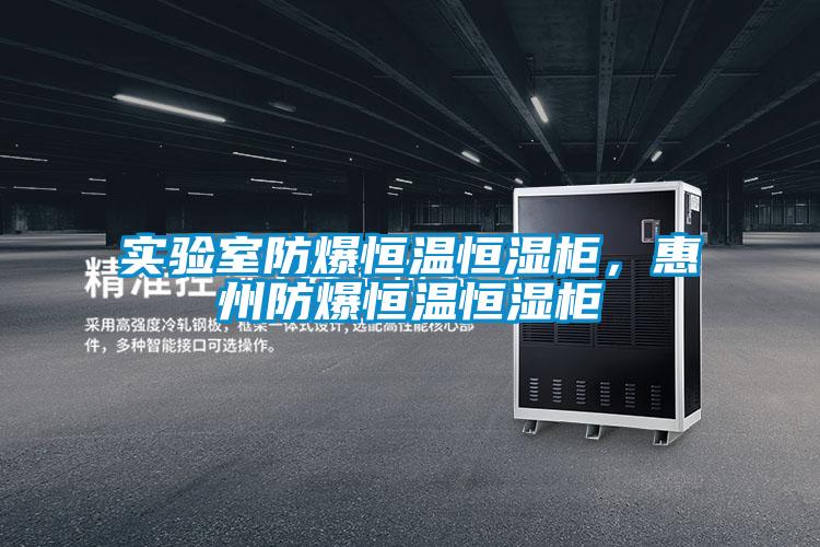 實驗室防爆恒溫恒濕柜，惠州防爆恒溫恒濕柜