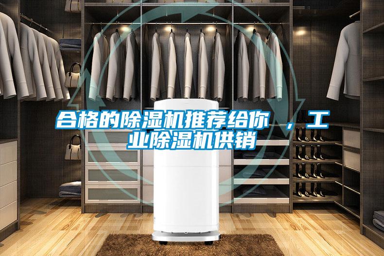 合格的除濕機推薦給你 ，工業除濕機供銷