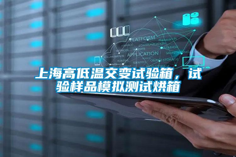 上海高低溫交變試驗箱，試驗樣品模擬測試烘箱