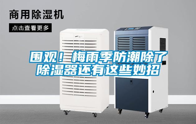 圍觀！梅雨季防潮除了除濕器還有這些妙招