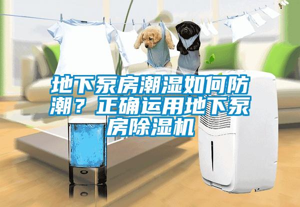 地下泵房潮濕如何防潮？正確運用地下泵房除濕機