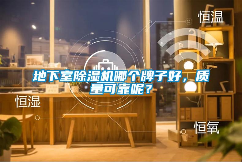地下室除濕機哪個牌子好，質量可靠呢？