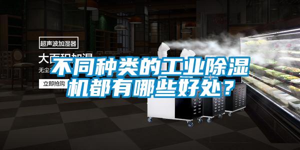 不同種類的工業除濕機都有哪些好處？