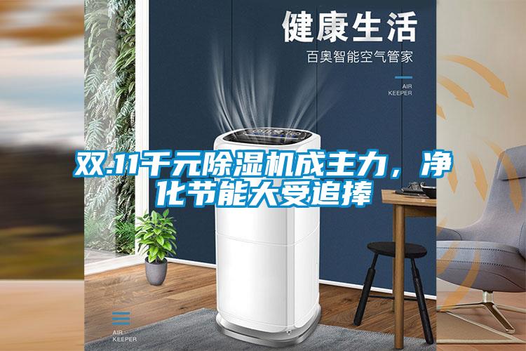 雙.11千元除濕機成主力，凈化節能大受追捧