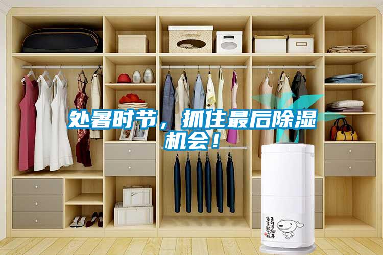 處暑時節，抓住最后除濕機會！
