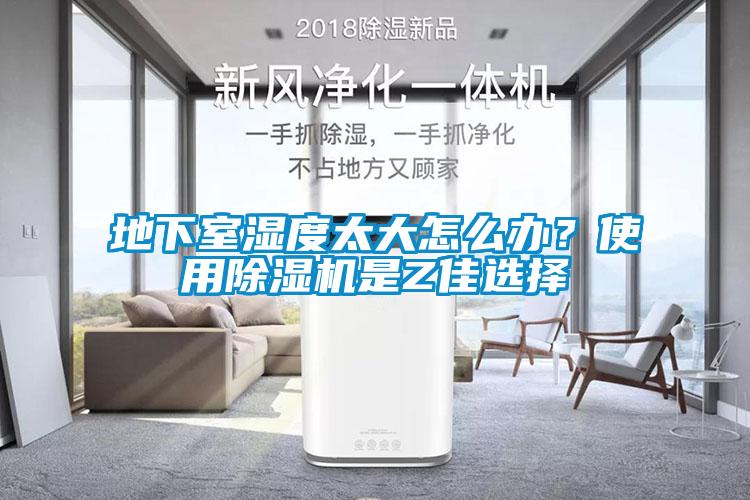 地下室濕度太大怎么辦？使用除濕機是Z佳選擇