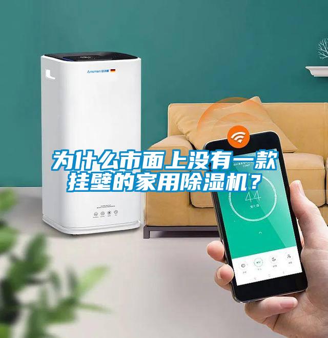 為什么市面上沒有一款掛壁的家用除濕機？
