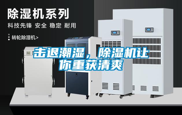 擊退潮濕，除濕機讓你重獲清爽