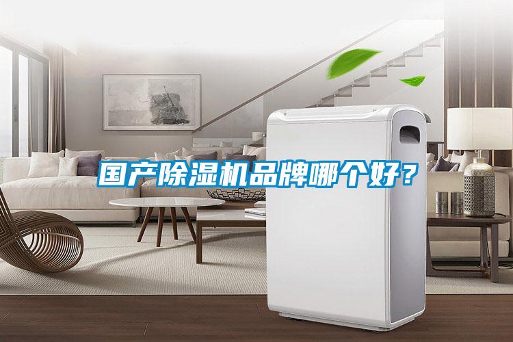 國產除濕機品牌哪個好？