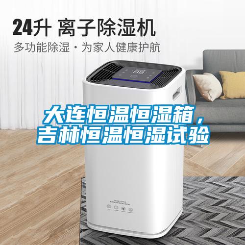 大連恒溫恒濕箱，吉林恒溫恒濕試驗