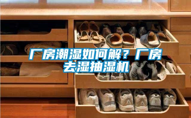 廠房潮濕如何解？廠房去濕抽濕機
