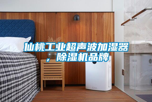 仙桃工業超聲波加濕器，除濕機品牌