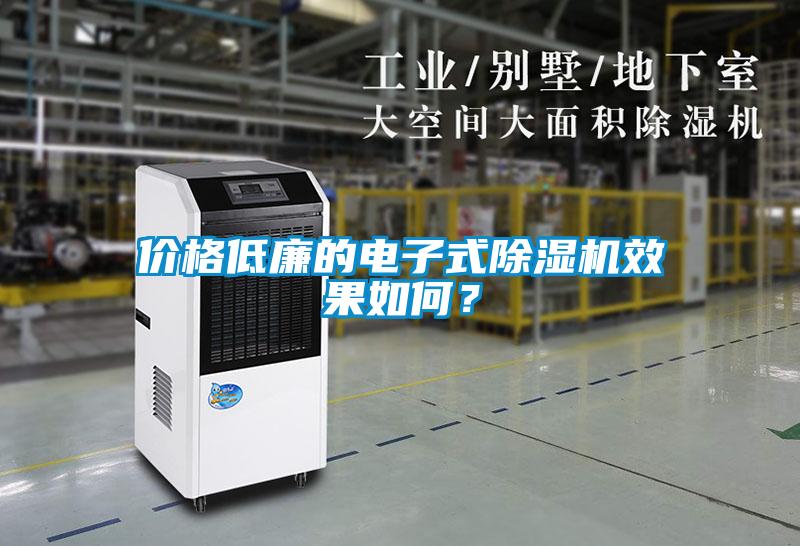 價格低廉的電子式除濕機效果如何？