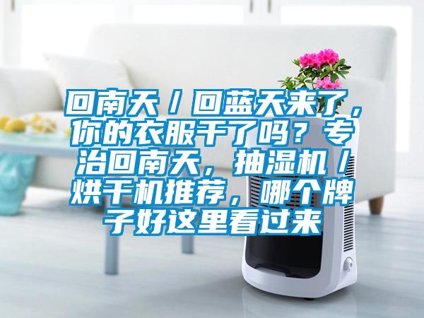 回南天／回藍天來了，你的衣服干了嗎？專治回南天，抽濕機／烘干機推薦，哪個牌子好這里看過來