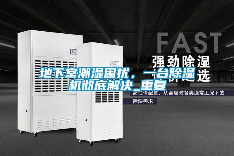 地下室潮濕困擾，一臺除濕機徹底解決_重復