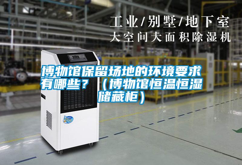 博物館保留場地的環境要求有哪些？（博物館恒溫恒濕儲藏柜）