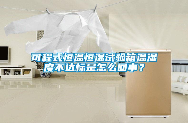 可程式恒溫恒濕試驗箱溫濕度不達標是怎么回事？