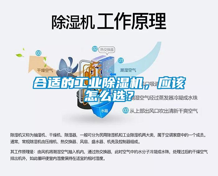 合適的工業除濕機，應該怎么選？