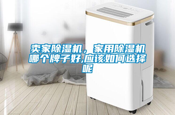 賣家除濕機，家用除濕機哪個牌子好,應該如何選擇呢