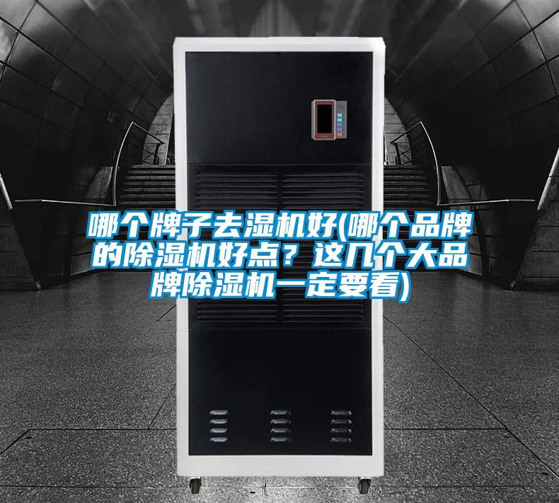 哪個牌子去濕機好(哪個品牌的除濕機好點？這幾個大品牌除濕機一定要看)
