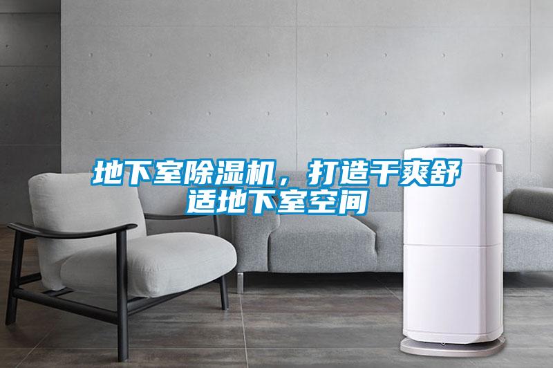 地下室除濕機，打造干爽舒適地下室空間