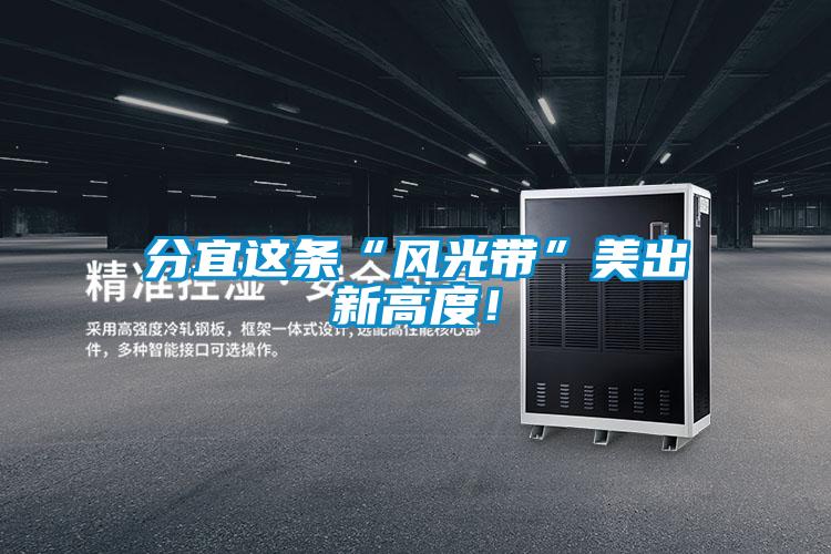 分宜這條“風光帶”美出新高度！
