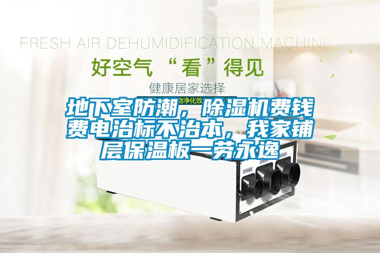 地下室防潮，除濕機費錢費電治標不治本，我家鋪層保溫板一勞永逸