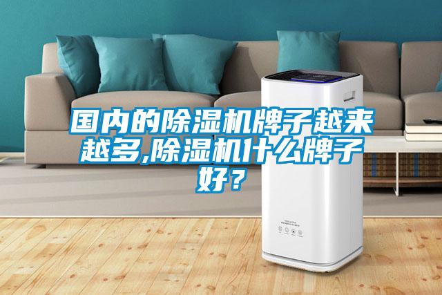 國內的除濕機牌子越來越多,除濕機什么牌子好？