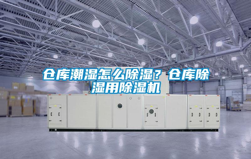 倉庫潮濕怎么除濕？倉庫除濕用除濕機