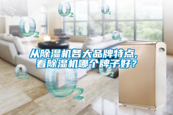 從除濕機各大品牌特點, 看除濕機哪個牌子好？