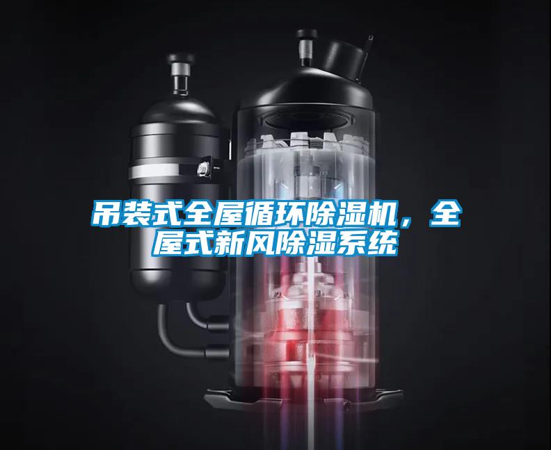 吊裝式全屋循環除濕機，全屋式新風除濕系統