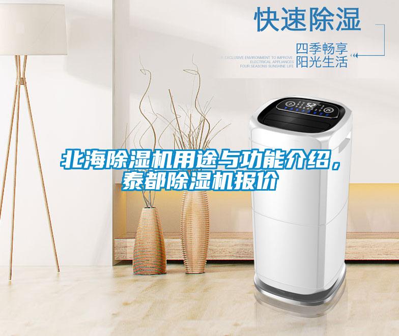 北海除濕機用途與功能介紹，泰都除濕機報價