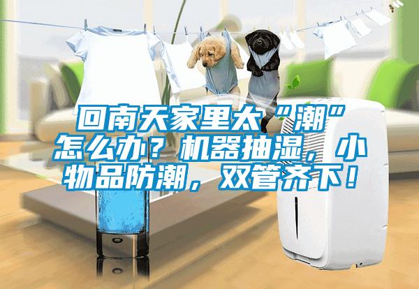 回南天家里太“潮”怎么辦？機器抽濕，小物品防潮，雙管齊下！