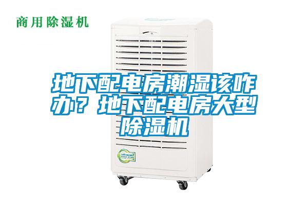 地下配電房潮濕該咋辦？地下配電房大型除濕機