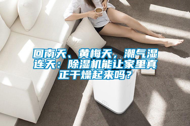 回南天、黃梅天，潮氣濕連天：除濕機能讓家里真正干燥起來嗎？