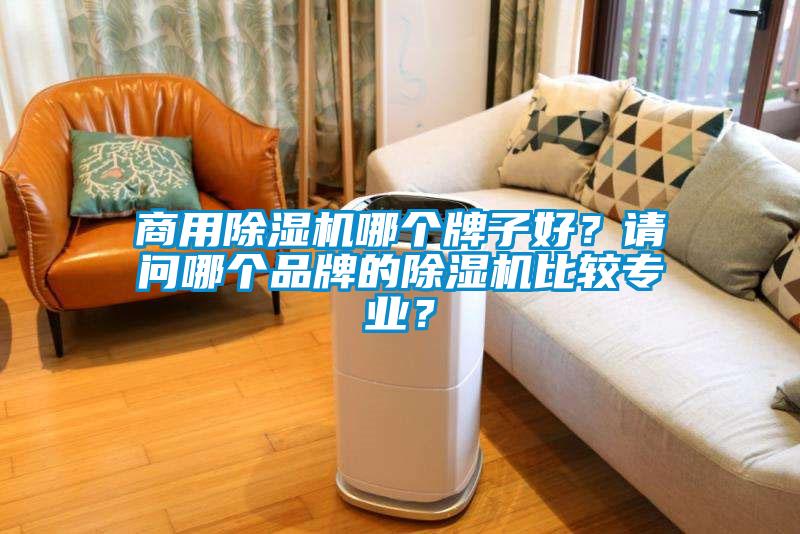 商用除濕機哪個牌子好？請問哪個品牌的除濕機比較專業？